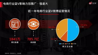 2018年電子商務(wù)平臺(tái)運(yùn)營(yíng) 數(shù)據(jù)驅(qū)動(dòng)下的新格局與核心策略