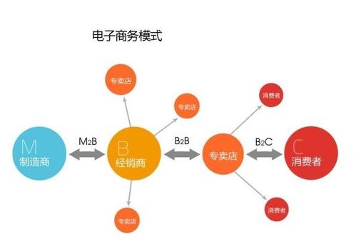 向網絡強國闊步前行 電子商務平臺的運營策略與轉型之道